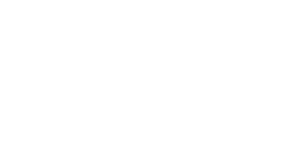 LGFA Ladies Gaelic Football